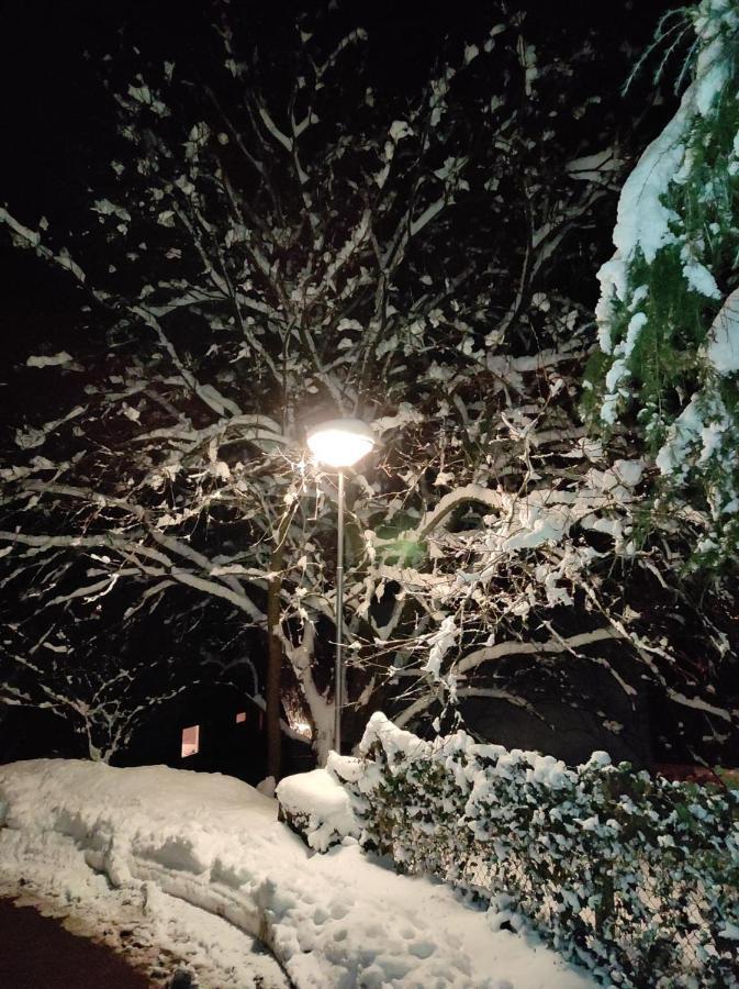 La Terrasse 226 Daire Malmedy Dış mekan fotoğraf