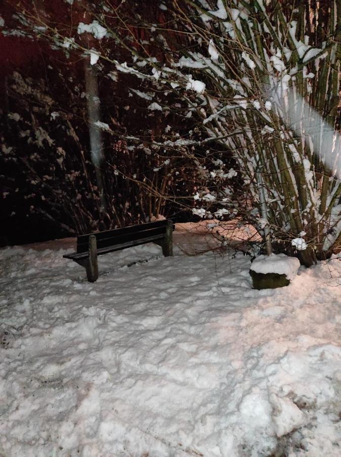 La Terrasse 226 Daire Malmedy Dış mekan fotoğraf